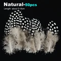 50pcs Natural