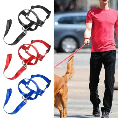 Pet Dog Head Halter Halti Training Collar Stop Pulling Gentle Harness Safe Strap wholesale