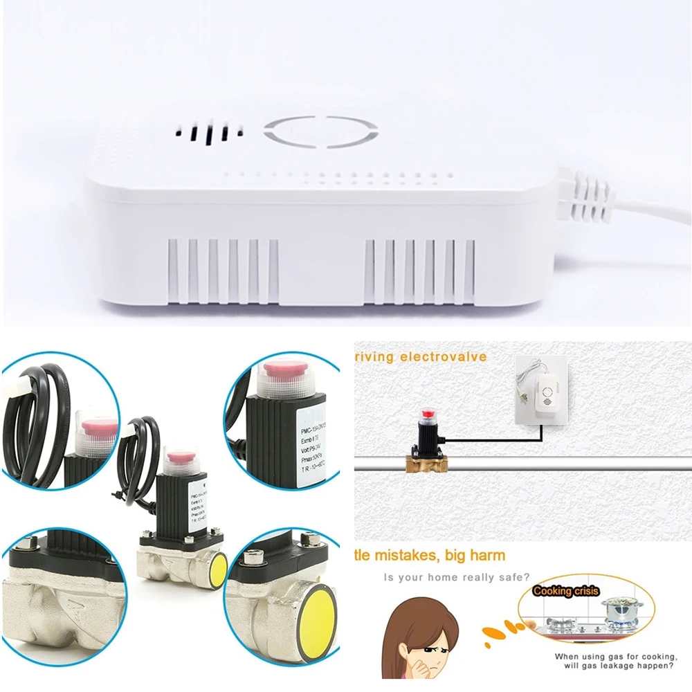 شاشة عرض سريعة الصوت البشري مجموعة مستقلة من الغاز وكاشف الغاز أول أكسيد الكربون مع صمام الملف اللولبي