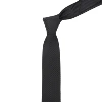 Men 5cm Slim Tie Solid Color Striped Necktie Polyester Narrow Cravat Blue Red Black Brown Ties For Wedding Party Accessory Gift 2