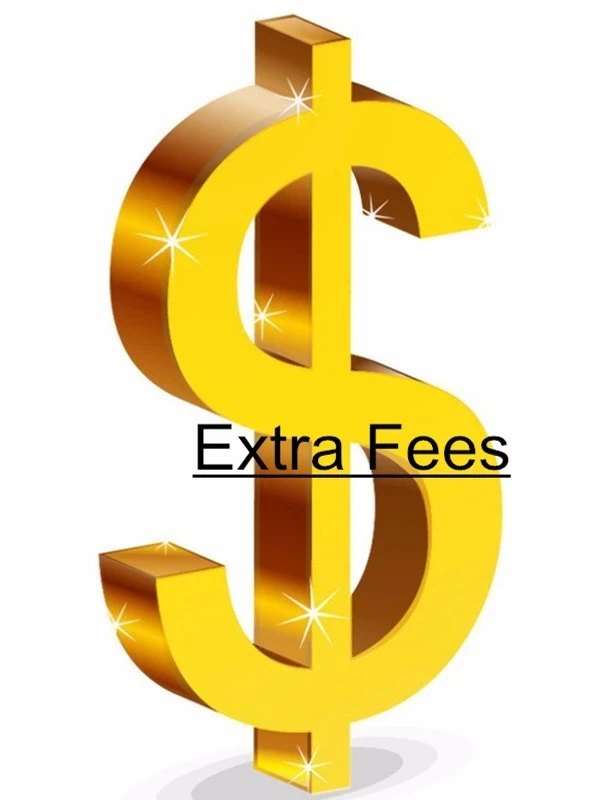 Extra Fee/Extra expense/Premium/Price difference/Postage/Shipping cost/To pay/An additional amount of money/A sum of money/$0.5