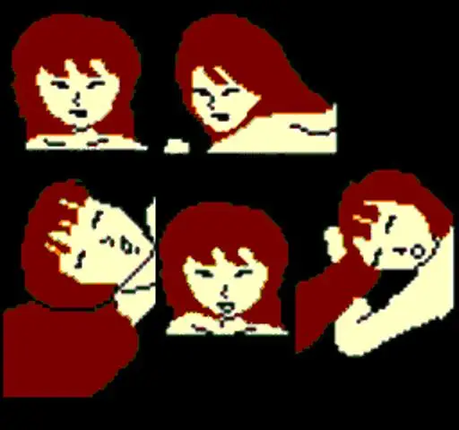 سوبر مارو (الكبار فقط) لعبة خرطوشة ل NES/FC وحدة التحكم