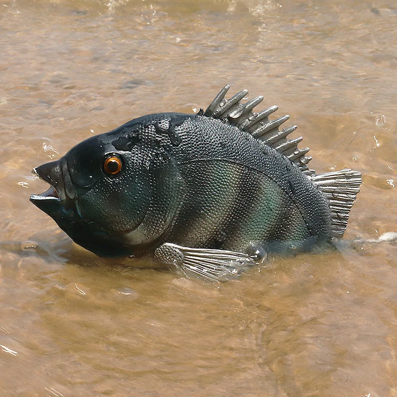 Oenux Meer Leben Tiere Modell Action-figuren Ozean Fisch Segelfisch Bass Zacker Lachs Aquarium Figuren PVC Pädagogisches Kinder Spielzeug – Detail 18