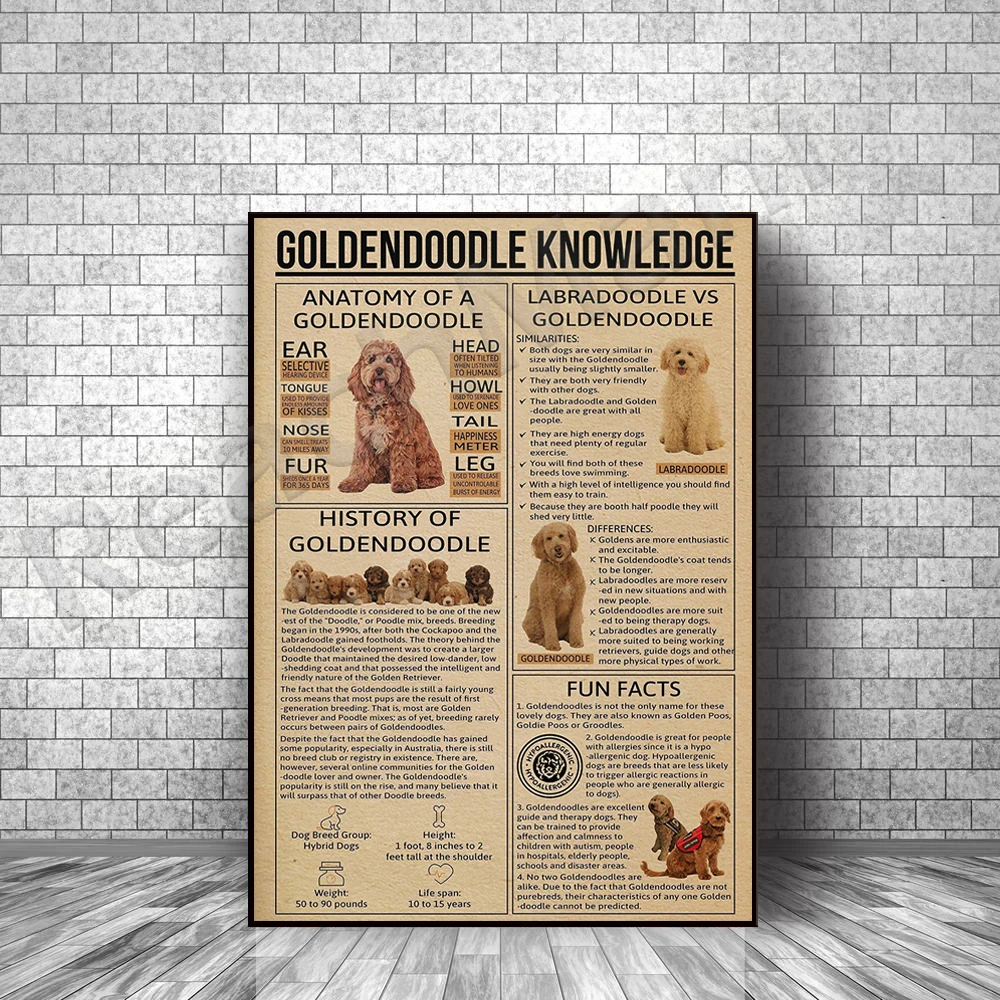 

Goldendoodle animal knowledge poster, retro dog poster wall art, gift for animal dog lover