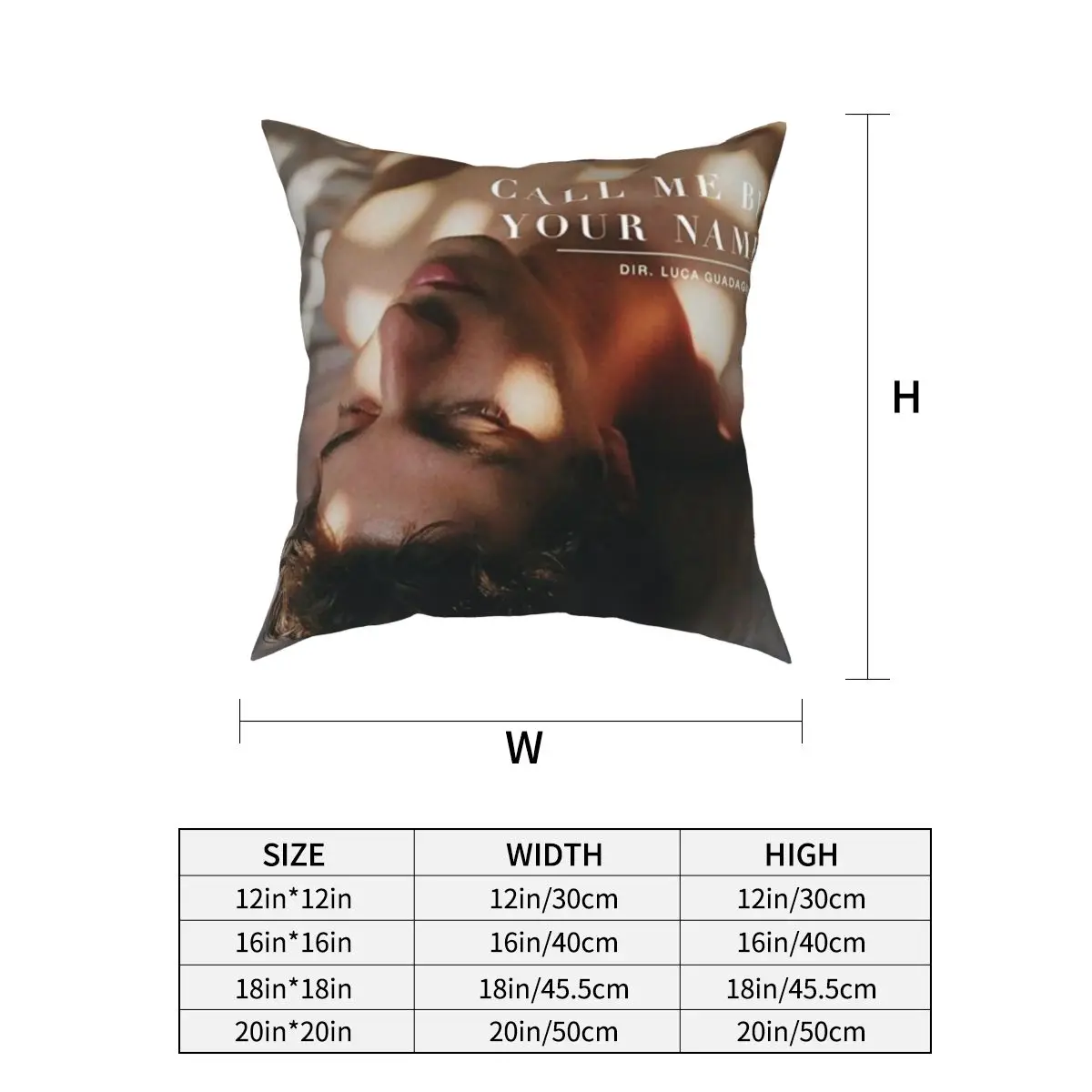 Call Me By Your Name Pillowcase Polyester Cushion Cover Decorative Timothee Elio CMBYN Pillow Case Cover Home Zipper 18'