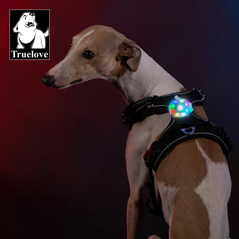 Truelove Pet Dog Glowing Night Walking Safety Collar Harness LED Light Accessories Wireless Charging Supplies TLD19102