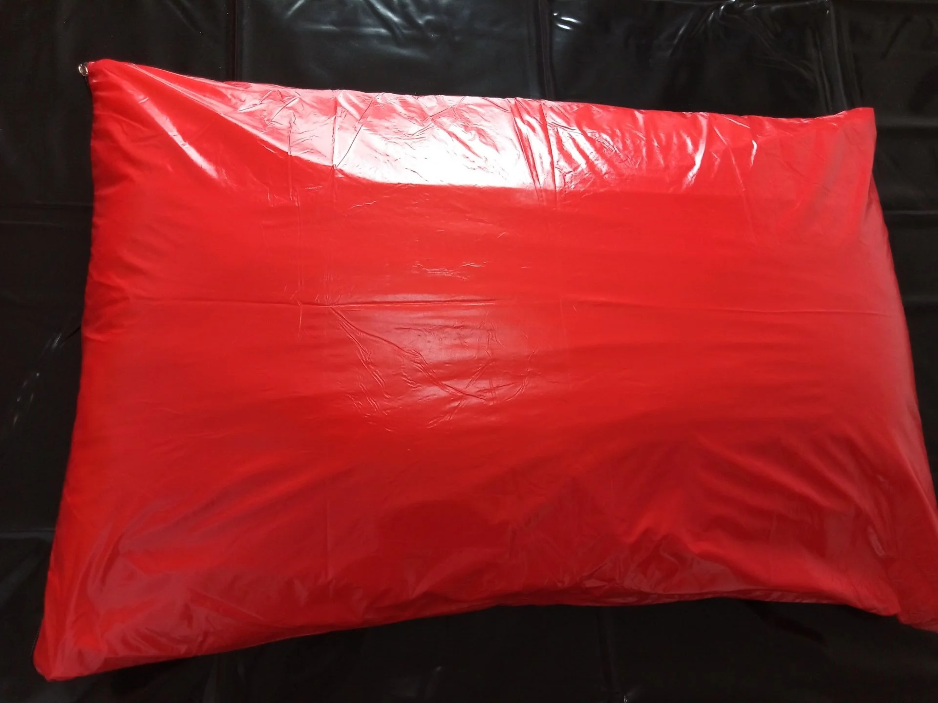 1 Pair Waterproof Pillowcase Pillow Protector Sex Toys Fetish Bed Sexy Pillow view 2