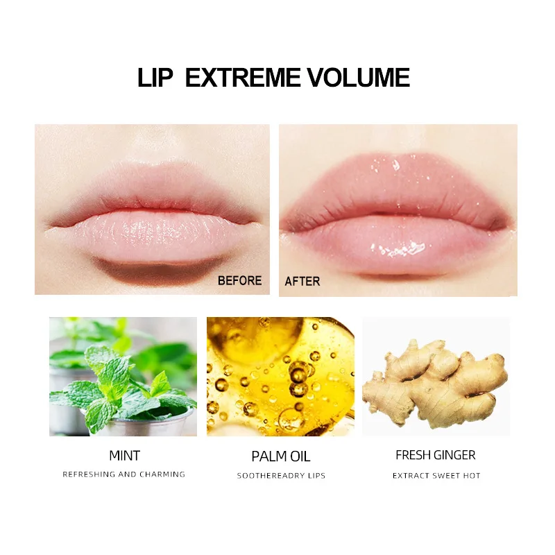 Instant Lip Volumizing Serum for Lip Volumizer Moisturizing Enhancement Lip Reduce Fine Lip Lines Ginger Mint Plumper Oil Gloss