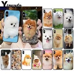 Cute Pomeranian dogs dog Coque Shell Phone Case for iphone 12 11 11Pro X XS MAX XR 8 7 6 6S Plus 5 5S SE