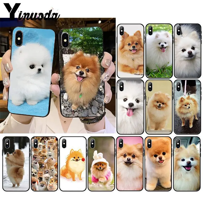 Cute Pomeranian dogs dog Coque Shell Phone Case for iphone 12 11 11Pro X XS MAX XR 8 7 6 6S Plus 5 5S SE