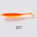 NW207
