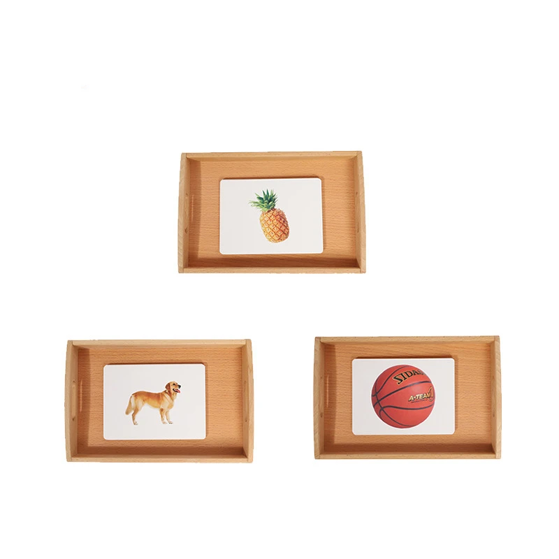 Tarjetas de reconocimiento de Furit/ Animal/ Ball, materiales de idiomas Montessori, recursos de aprendizaje para niños, juego de clasificación de educación para la primera infancia