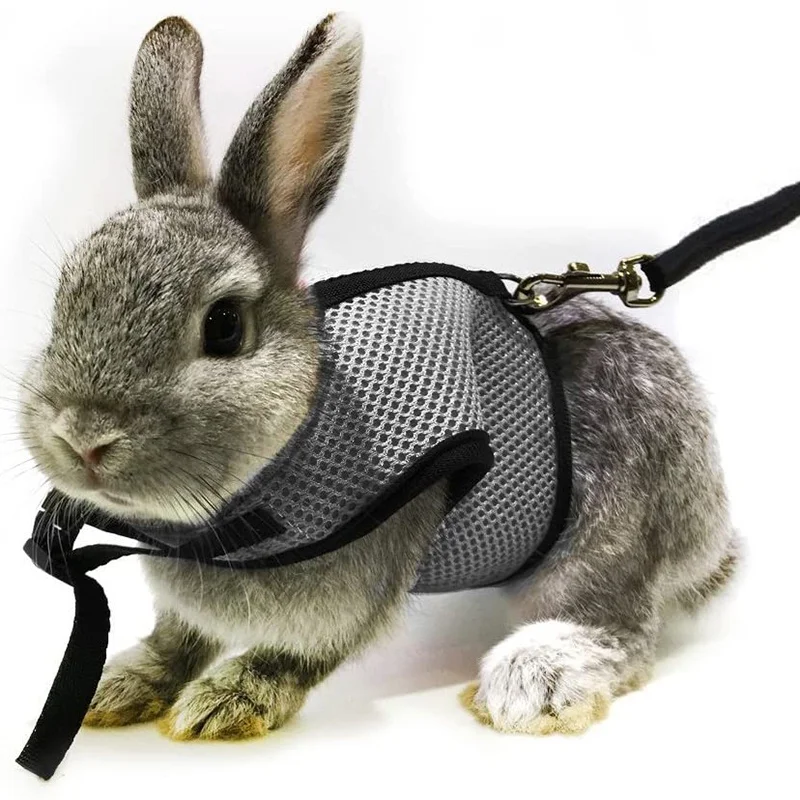 Puppy Bowknot Chest Strap Pet Rabbit Harness Vest and Leash Set For Ferret Guinea Pig Bunny Hamster Harness Pet Supplies