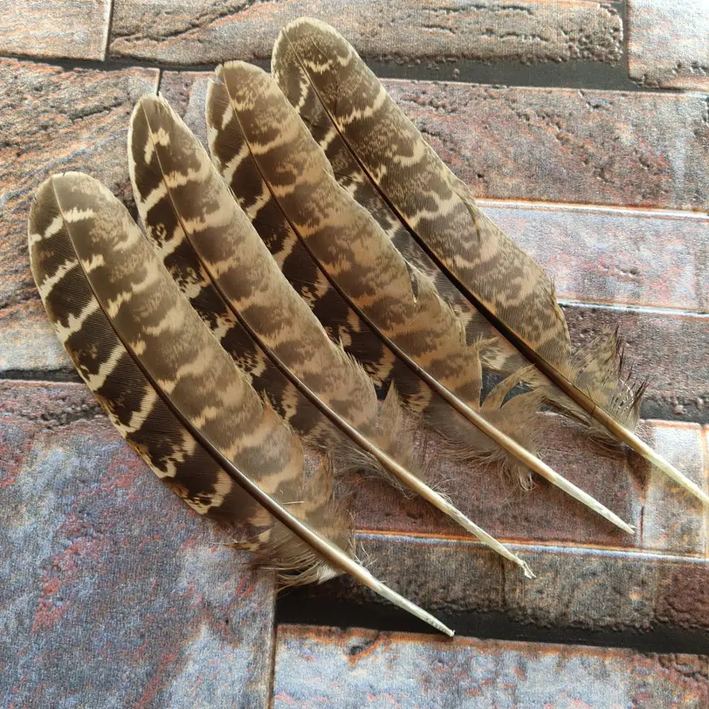 10 pcs Beautiful High Quality 10-15cm/4-6inch Natural Pheasant Feathers DIY Jewelry Christmas Holiday Decoration