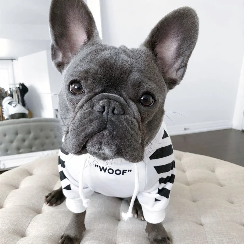 Fashion Dog Hoodie Winter Pet Dog Clothes For Dogs Coat Jacket Cotton Ropa Perro French Bulldog Clothing For Dogs Pets Clothing