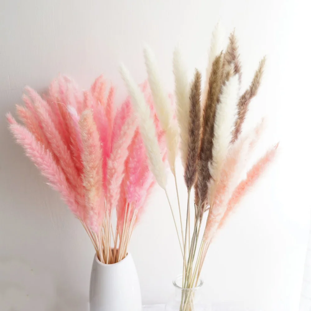 20pcs 3 color available raw&pink&white color small pampas grass Phragmites&reed flowers&bulrush flowers for wedding  decor