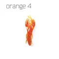 8pcs orange4
