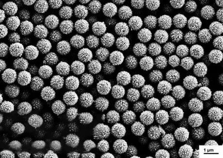 

magnetic transfection reagent