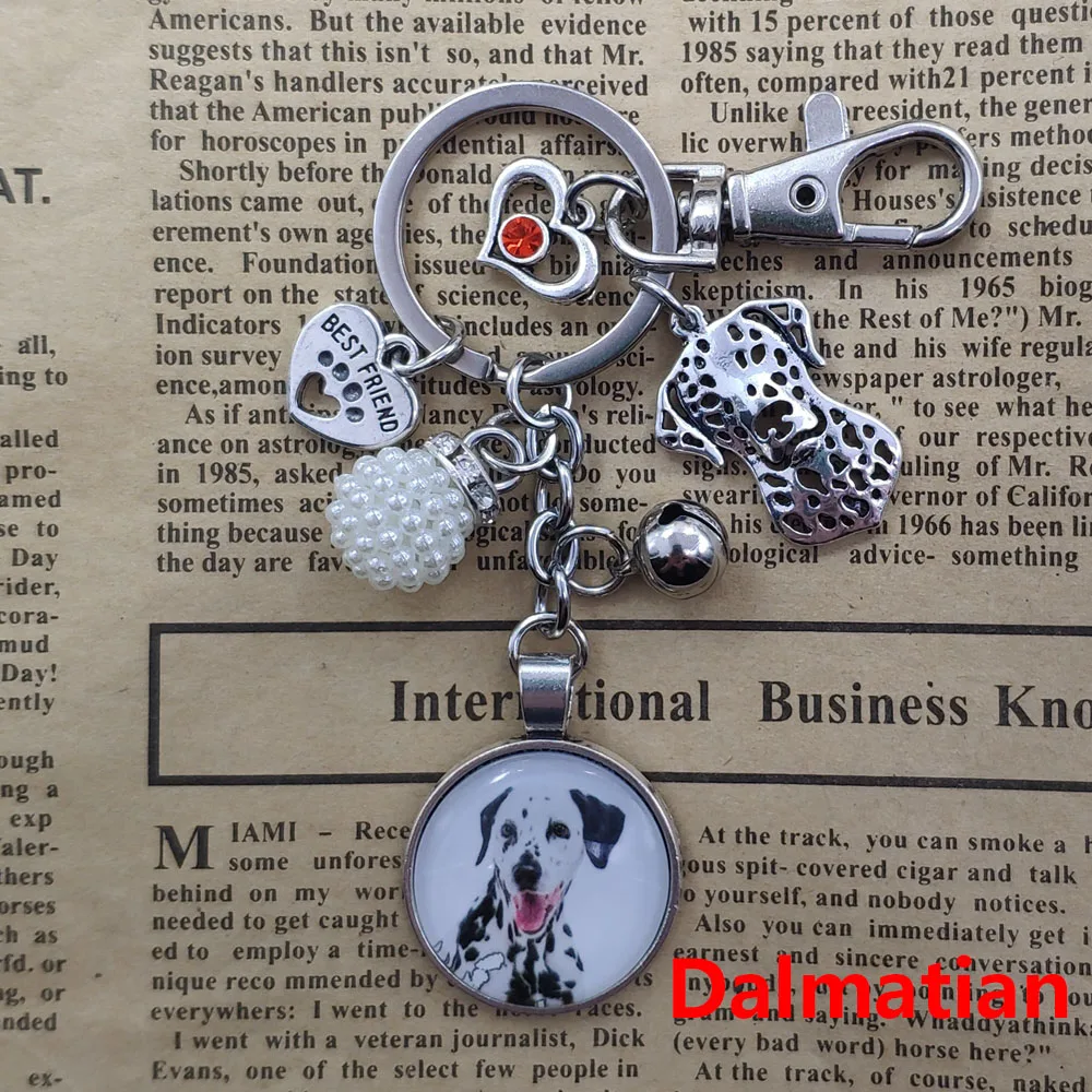 Dalmatian Akita Australian Shepherd Dog Animal Keychain Time Gem Pet Lover Key Ring Men Male Women Trendy Cute Fashion Gift