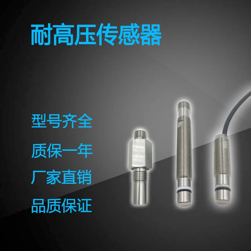 High-Pressure Distance Detection Sensor Probe Displacement Sensor DW-AS-502-P12-627 Proximity Switch