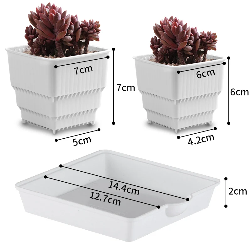 Meshpot 6 cm/7 cm Sukkulenten Topf Kunststoff Blumentopf Kaktus Pflanzer Wurzel Steuerung Gute Luft System Garten liefert Hause Dezember – Detail 3