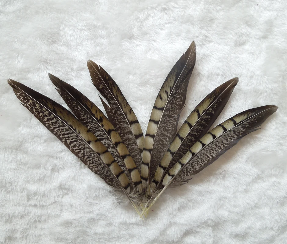 10Pcs  Natural Pheasant Feathers for Crafts Jewerly Making Wedding Home Decoration LADY AMHERST PHEASANT Tai Plumes,