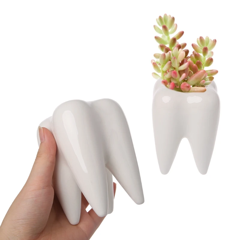 2024 New Tooth Shape Ceramic Flower Pot Green Succulent Planter Cactus Container Decor