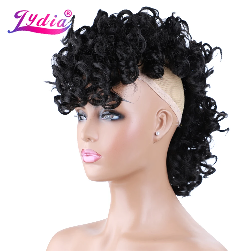 Lydia Synthetic High Puff Afro Short Curly Middle-Part Wig Clips in Hair Extension African American 90g/PCS Hairpiece Chignon