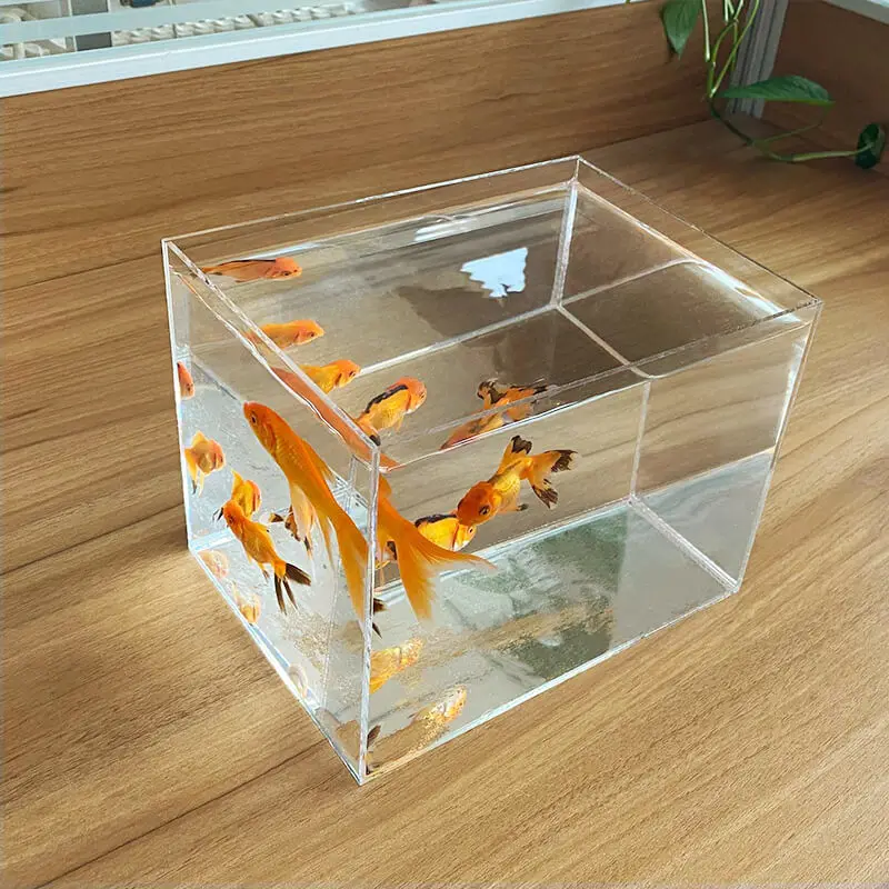 Acquario acrilico Fish Tank Betta Fish Display Rack multi-griglie Desktop piccolo serbatoio di pesce isolamento tartaruga serbatoio paesaggio in miniatura