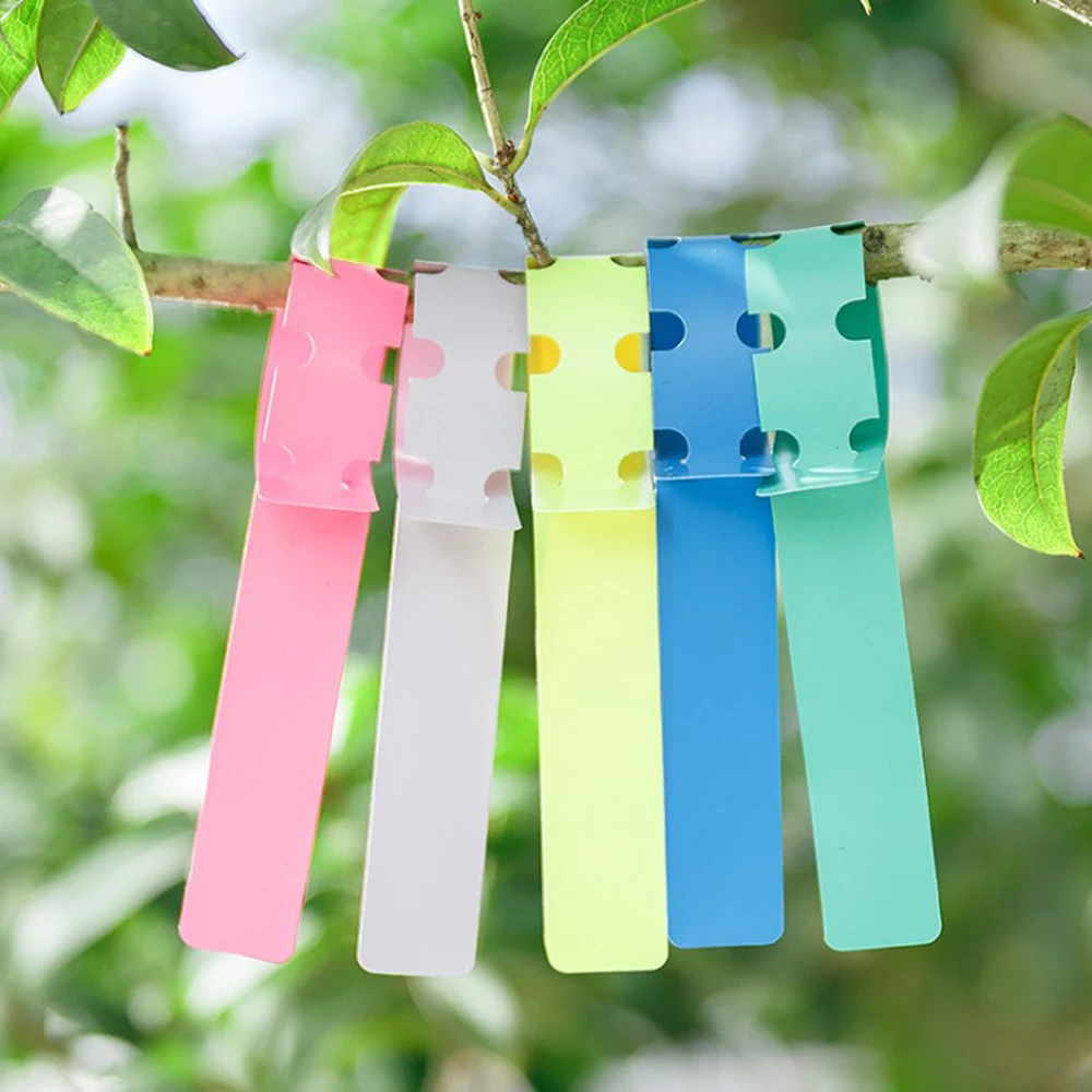 Plant Tags PVC Tuin Kwekerij Label Hangende Boom Markers Prompt Card Classificatie Tool 2x21cm 50PCS