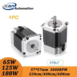 ICAN High Torque 125W Brushless Electric Motor 3000RPM 24v BLDC Motor