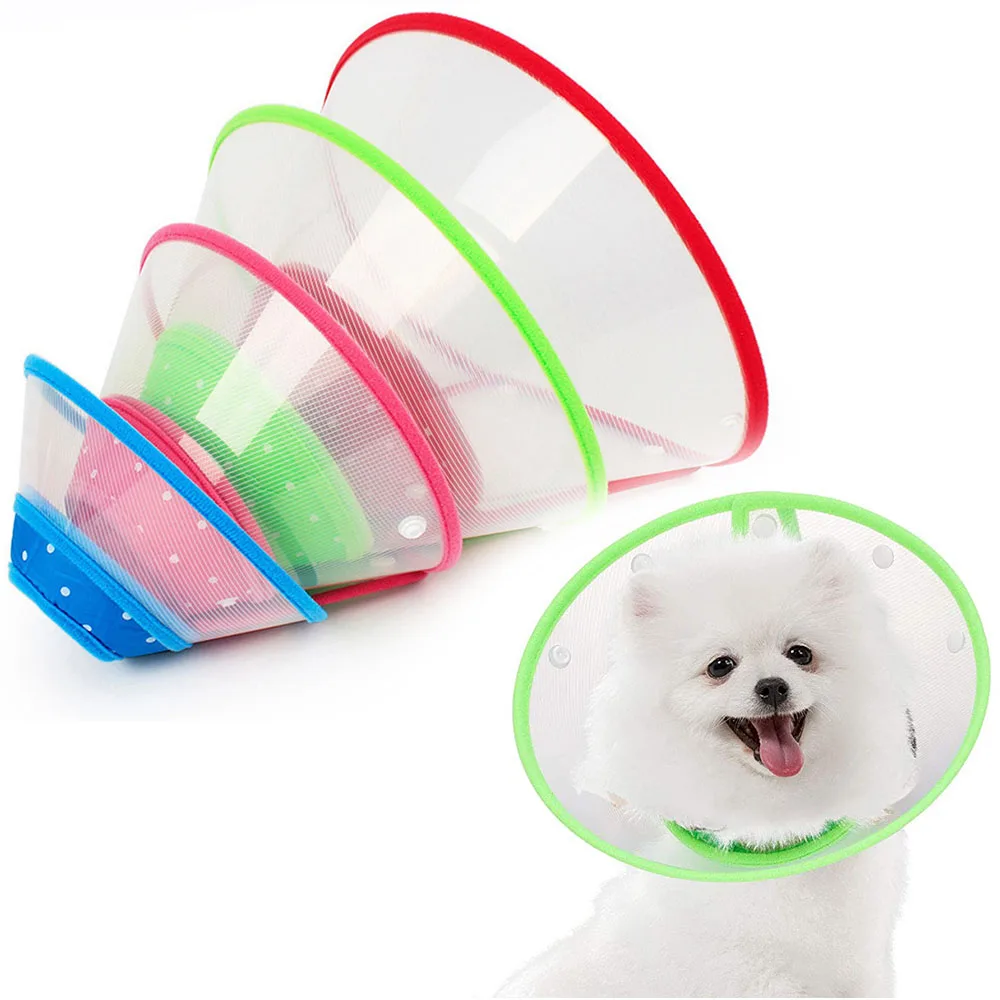 Cono de perro: ¿Cómo elegir el mejor para tu mascota?