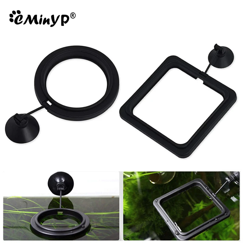 Aquarium Fish Feeding Ring Fish Tank Mariculture Fishes Floating Food Feeder Circle with Suction Cup for Guppy Betta Goldfish