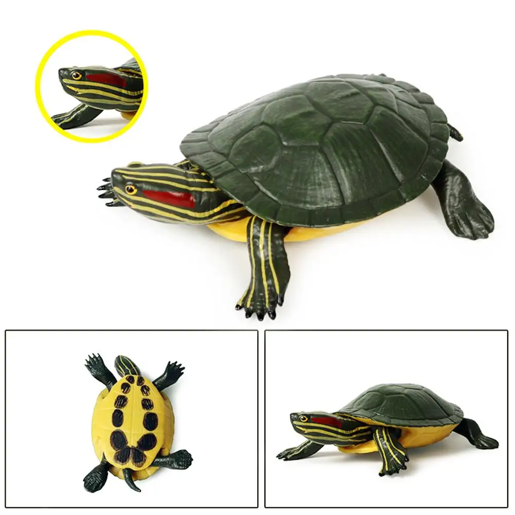 

5.5inch Brazilian Red-Eared Slider Turtle Tortoise Animal Toy Action PVC Figure 14cm Turtle Children's Educational Toys Gifts