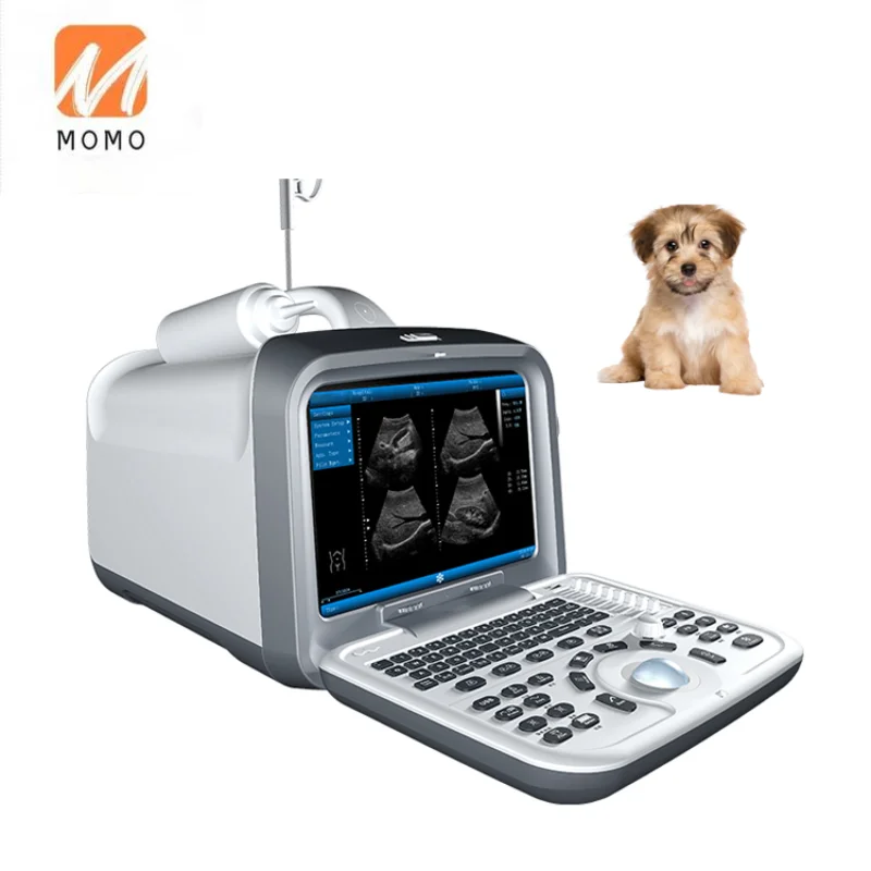 Best Quality 4D Color Portable Doppler Veterinary Ultrasound for Animal