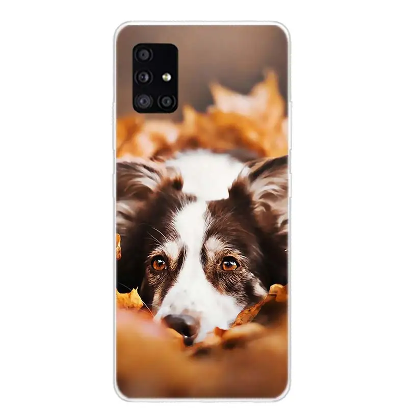 Border Collie Clever Phone Case For Samsung Galaxy A50 A70 A40 A30 A20S A10 Note 20 Ultra 10 Lite 9 8 A6 A8 Plus A7 A9 + Cover