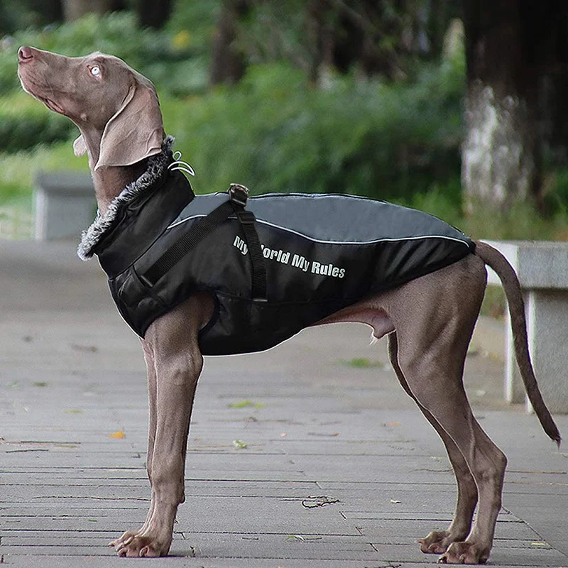 Benpaw roupa de inverno para cachorro, jaqueta para animal de estimação, quente, felpuda, à prova d'água, roupa reflexiva para cães de médio e grande porte