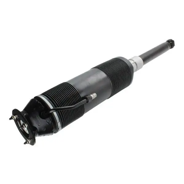 

Left Rear Hydraulic Shock Absorber 2203206113 2203200913 2203209113 2203208913 Fit for Mercedes S CL Class S600 CL600 W220 W215