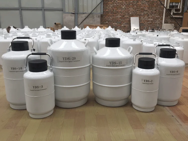 Medical use YDS-6 6L liquid nitrogen tank container cryogenic storage tank