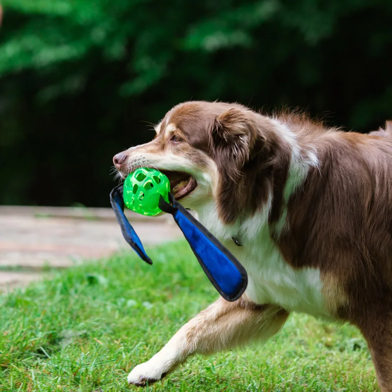 CAITEC Dog Toys Soft Rubber Foraging Ball with Knotted Streamer Floatable Suitable for Foraging and Interactive with Video