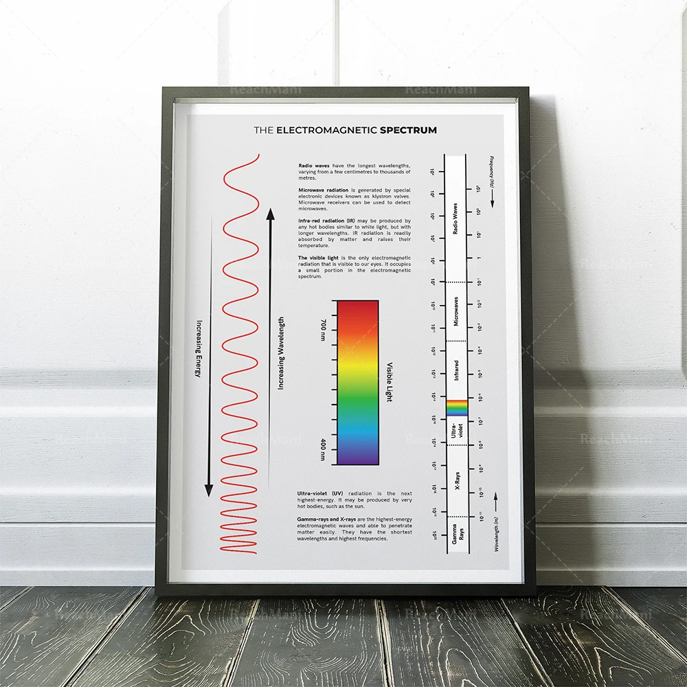 Un ensemble d'affiches de physique pour la décoration de la salle de classe, des impressions de clés de physique pour l'enseigne