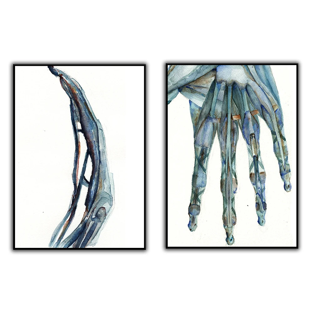 Hand Anatomy  Print Art  - Hand and Finger Watercolor Art Set - Abstract Anatomy Art