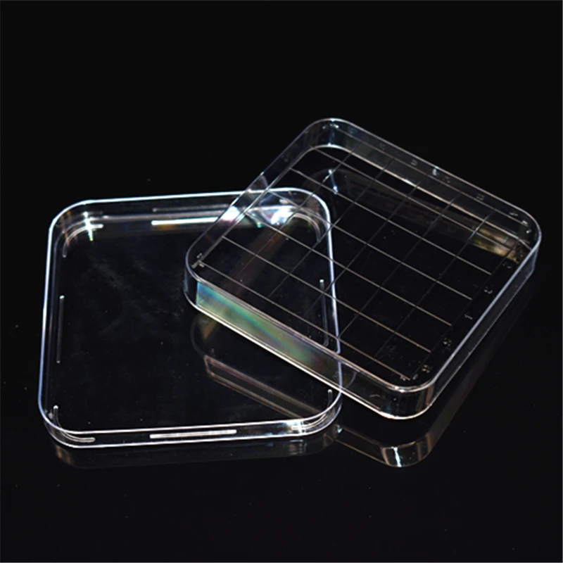 New High Quality Laboratory analysis Disposable Plastic Polystyrene Petri Dishs 10*10cm,Sterile,10pcs