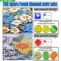 Wholesale DMC 447 Colors Full Square/Round Drill Resin Diamond Rhinestone,DIY Diamond Painting Crystal Beads Stone Accessory