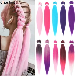 Long Synthetic Hair Braids Kanekalon Ombre Jumbo Braids Ombre Braiding Hair Synthetic Crochet Hair Pink Purple African Woman