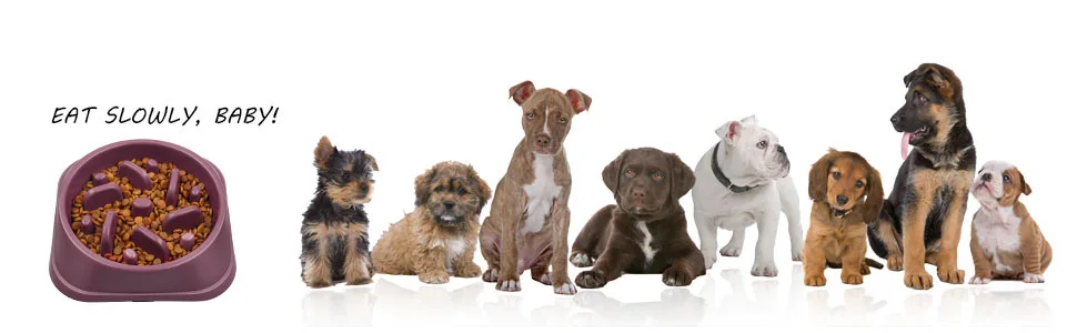 Haustier Hund Slow Feeder Schüssel Rutschfeste Puzzle Schüssel Anti-Schleppen Haustier Slower Food Futternäpfe Hund Schüssel für mittelgroße kleine Hunde Welpen – Detail 1