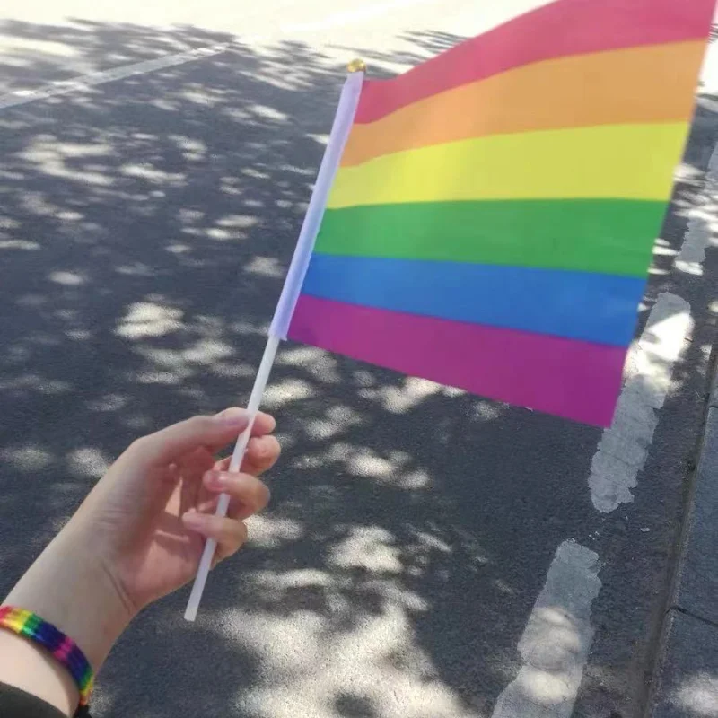 14X21cm Rainbow Flag with Flagpole Rainbow Gay Lesbian Homosexual Bisexual Pansexuality Transgender LGBT Pride