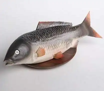 

Simulated Fish Meat Gray Carp Fake Kitchen Props Nongjiale Hotel Unisex Finished Goods Food 2021