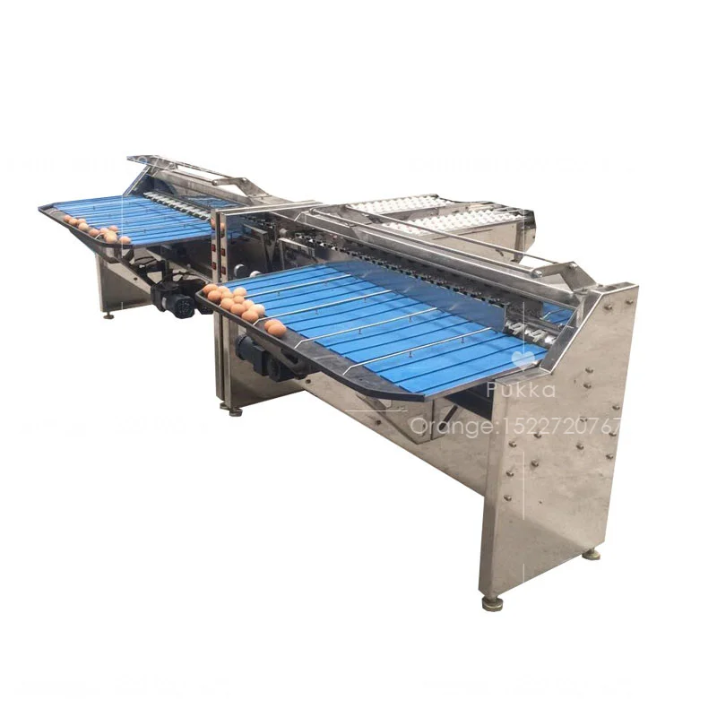 High Precision Chicken Egg Classifying Machine Egg Sorting Machine Egg Grader Machine With Large Capacity
