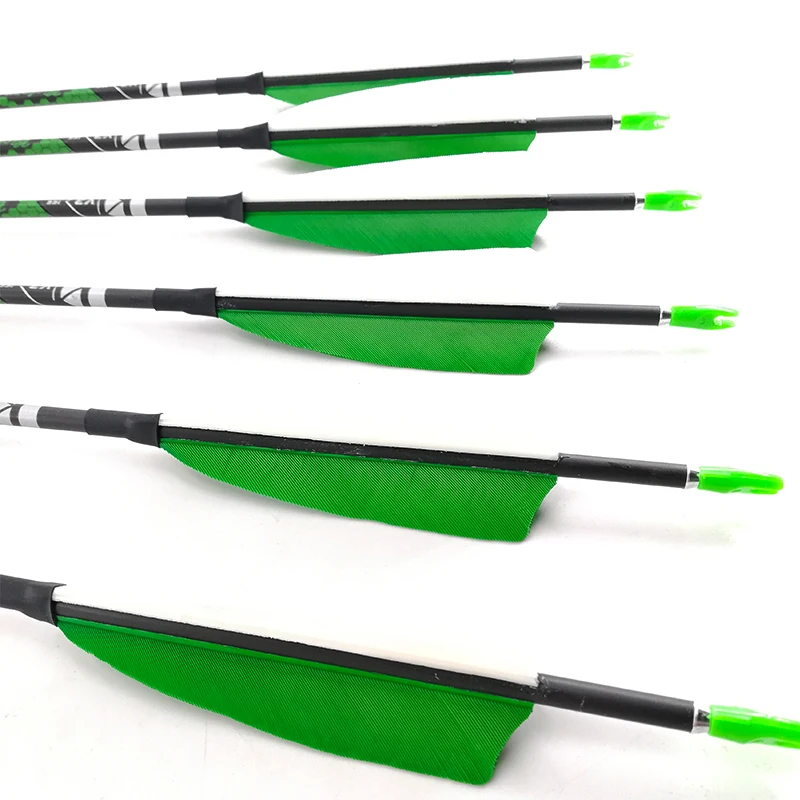 

Archery Carbon Arrow Spine 400-1100 ID4.2 Shafts Turkey Vanes Pin Nocks Traditional Recurve Bow Longbow Hunting